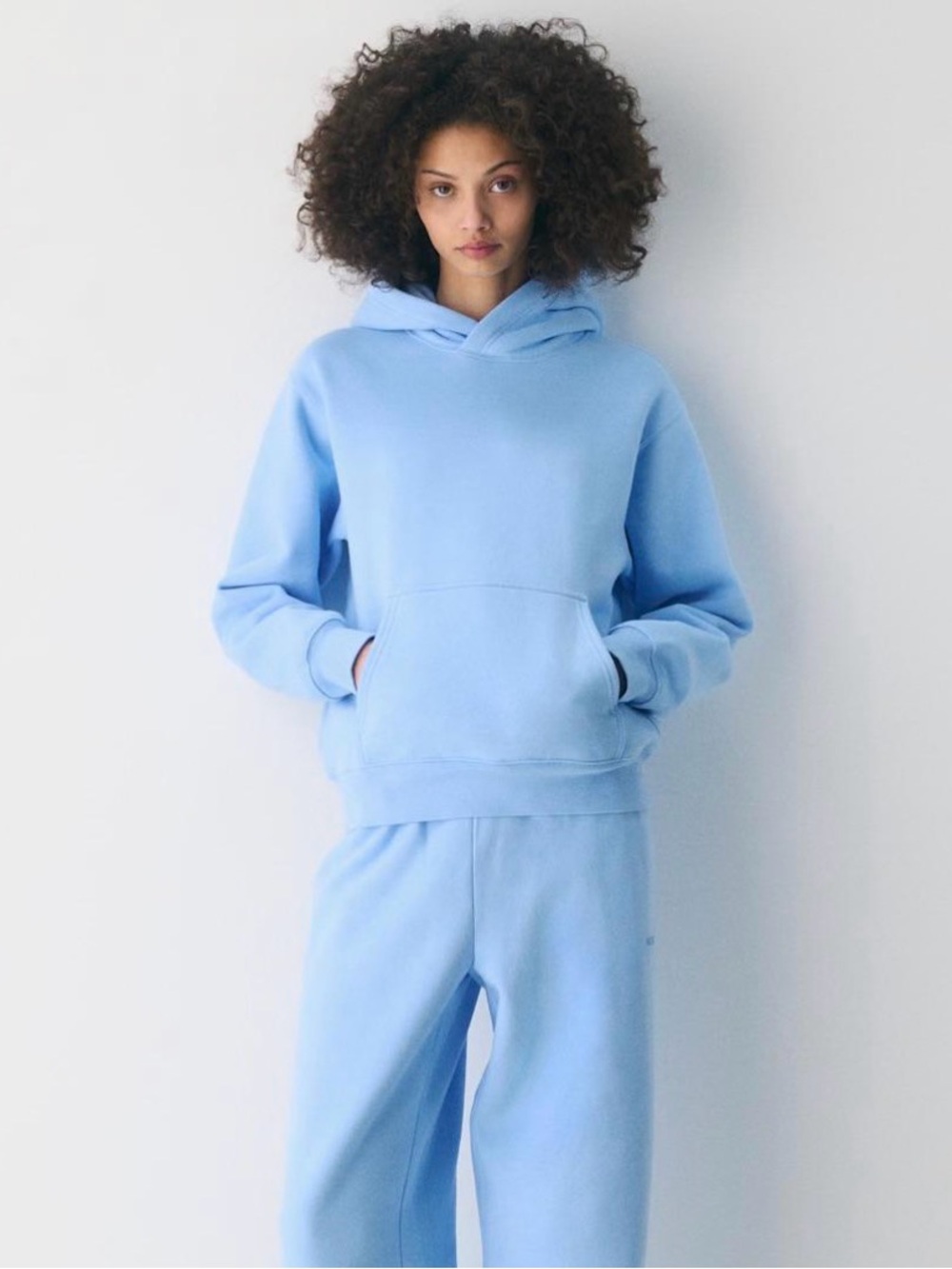 Aritzia NWT mega hoodie